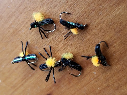 Dry fly taglia coleottero - dry,