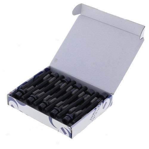 Kit bulloni testata per audi - bulloni,