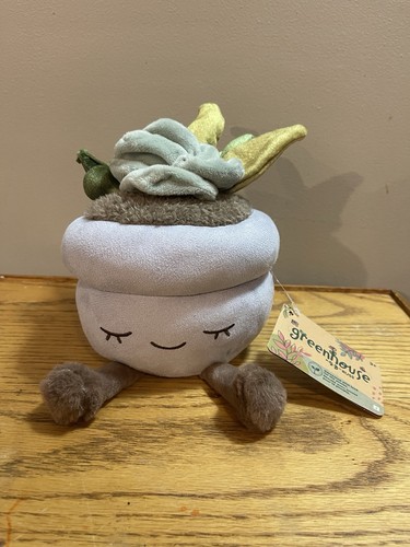 Peluche succulento serra - , di