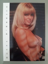 2000 Playboy's Centerfolds of