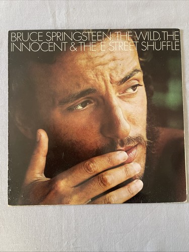 Bruce springsteen the wild - bruce,