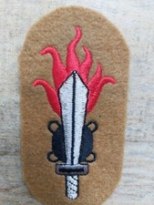 Official insignia of the Genio