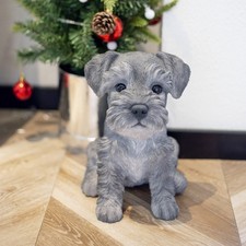 Soreal grigio baby schnauzer - schnauzer, |
