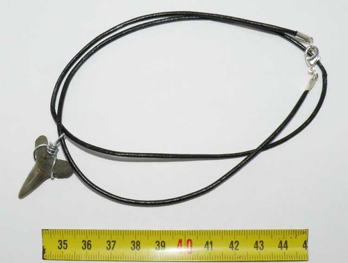 Collana sospensione dente - collana,