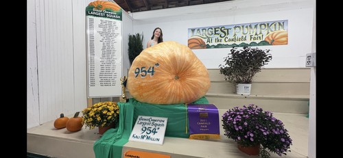 Semi zucca gigante atlantic - gigante,