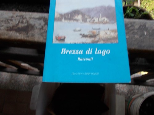 Luino lago maggiore - lago,