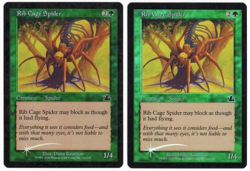 Gabbia coste ragno - a, x2
