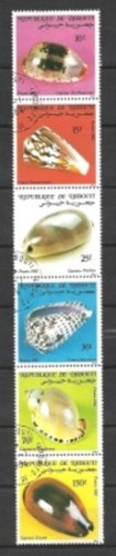 Animali conchiglie giubuti - conchiglie,
