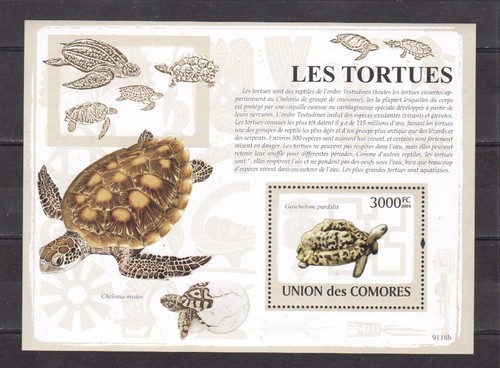 Comore blocco 483 - comore, **