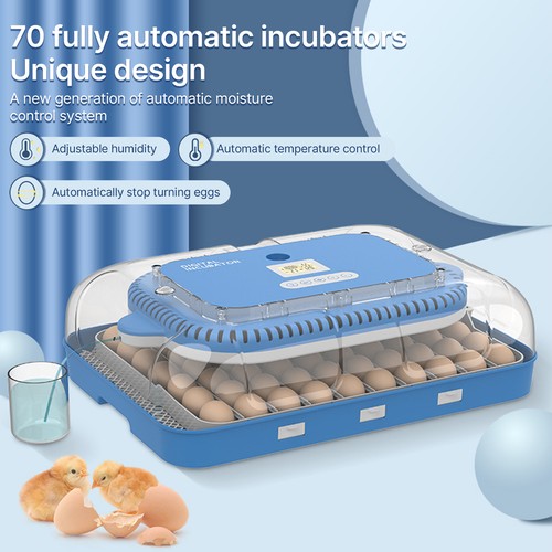 Eggs intelligent home - (eu-2)70,