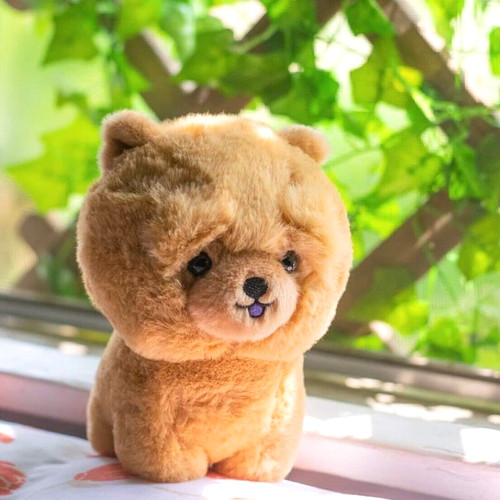 Nuovo peluche aurora - aurora, world