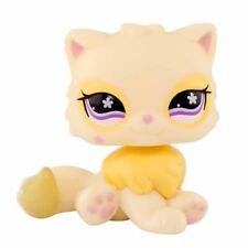 Yellow Persian Cat #763 Cute