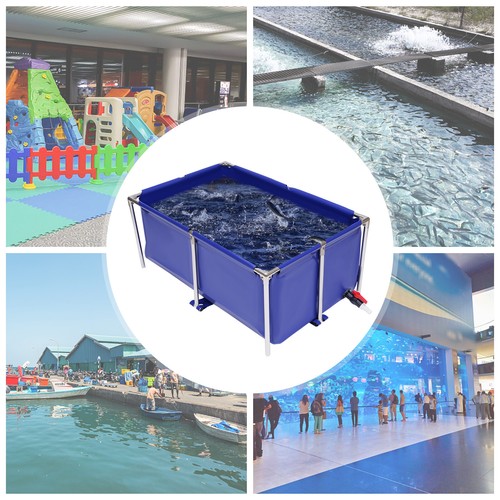 Cuboide blu tela - , pesci