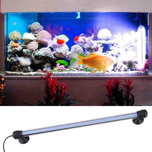 Lampada immersione led per - immersione,