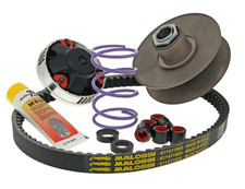 6113131 GRUPPO TRASMISSIONE OVER RANGE MALOSSI PIAGGIO GILERA 2T BRACCIO LUNGO