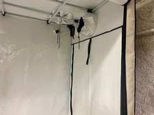 HOMEBOX AMBIENT R240