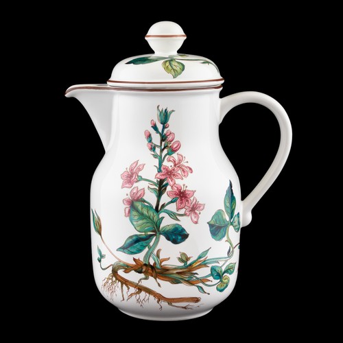 Caffettiera botanica - botanica,