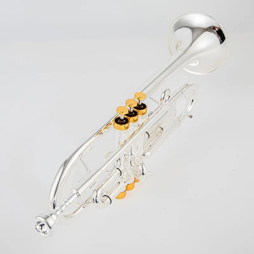 Nuovo tr600 tromba argento - tr600,