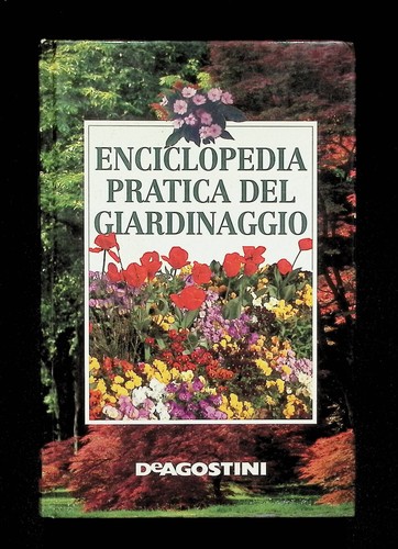 Enciclopedia pratica del - pratica,