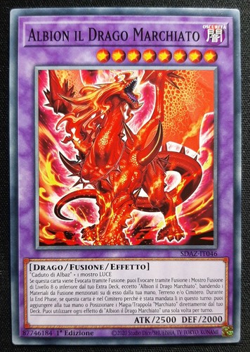 Albion drago marchiato in - il,