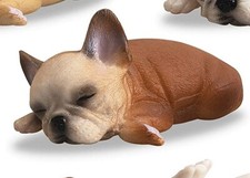 Statua cucciolo bulldog