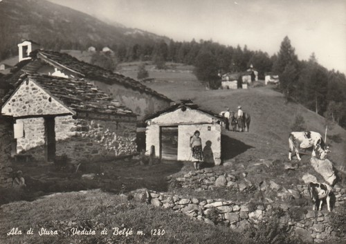 231 torino ala - -, di