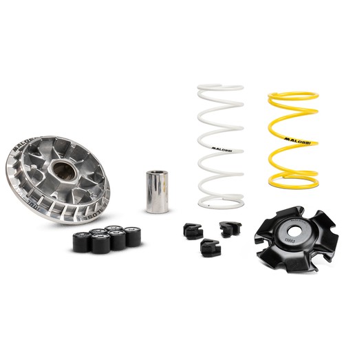 Variatore malossi multivar - variatore,