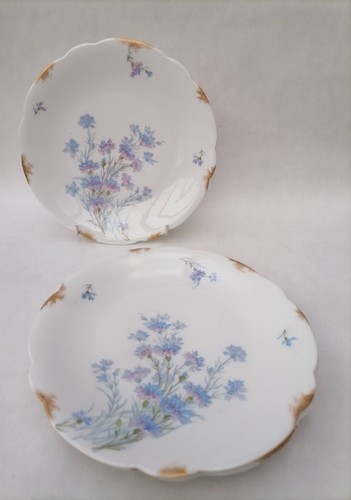 Set piatti antichi - 3,