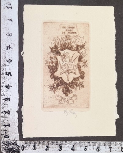 Wunderkammer exlibris 320 - wunderkammer,