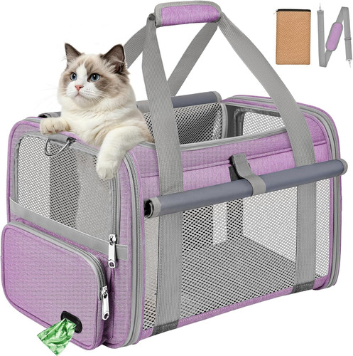 Trasportino gatto approvato - gatto,