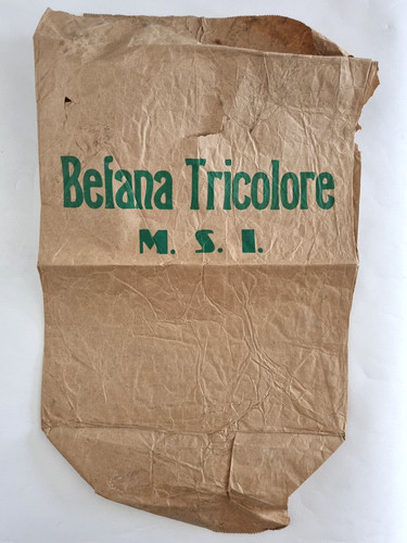 Befana fascista tricolore msi - befana,