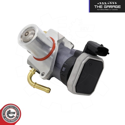 Valvola egr per - egr, g