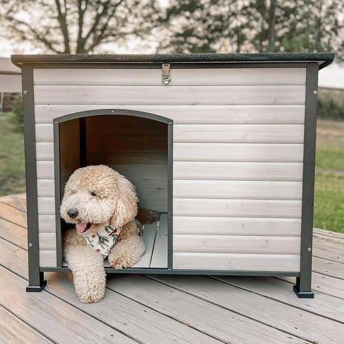 Cuccia per cani - cuccia, da