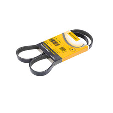 CINGHIA PV SERVIZI ALTERNATORE