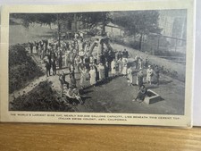 Colonia Svizzera Italiana Vino