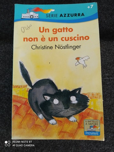 Gatto non un cuscino - un,