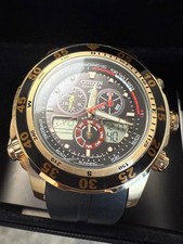 Citizen ProMaster World Time