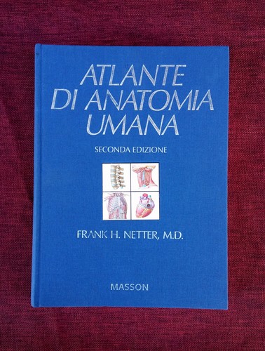 Atlante anatomia umana - atlante,
