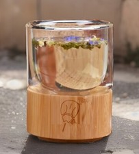 MOCKTAILS GLASS Bicchiere