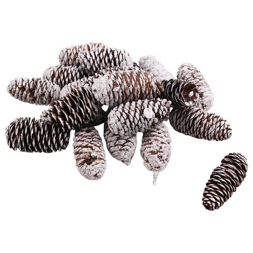 Pezzi di pigne - 2x(20,