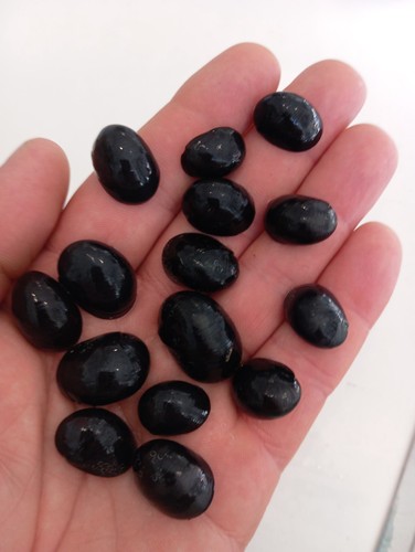 Lumache neritine black elmet - lumache,