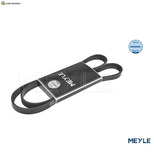 Cinghia trapezoidale 050 - cinghia, 005