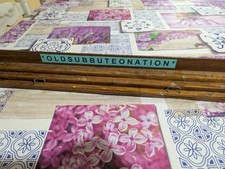 Tribunetta subbuteo - subbuteo, no