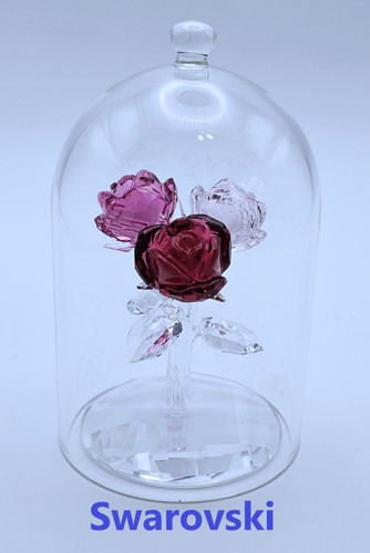 🌹Statuina grande vaso