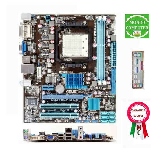 Scheda madre socket - madre, asus