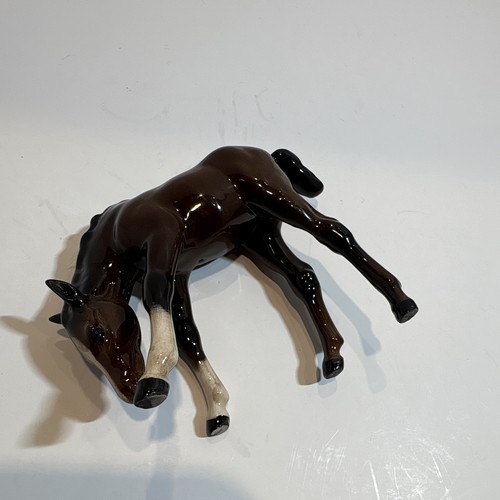 Beswick puledro cavallo - puledro,