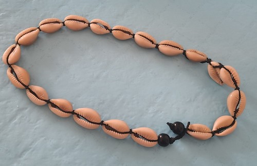 Collana con conchiglie cipree