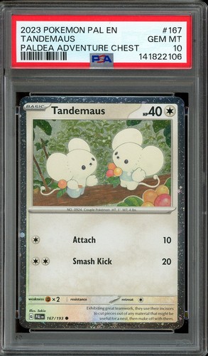Pokemon 2023 tcg - pokemon,
