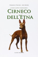 Cirneco dell etna - cirneco, 01