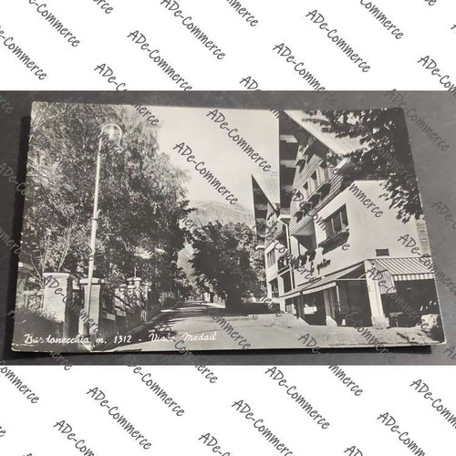 Cartolina bardonecchia viale - -,